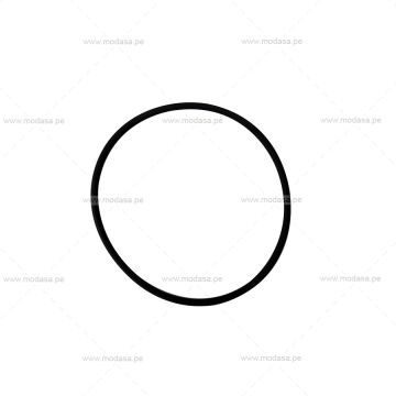 O RING