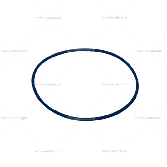 JUNTA ANULAR