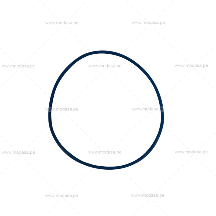 JUNTA ANULAR